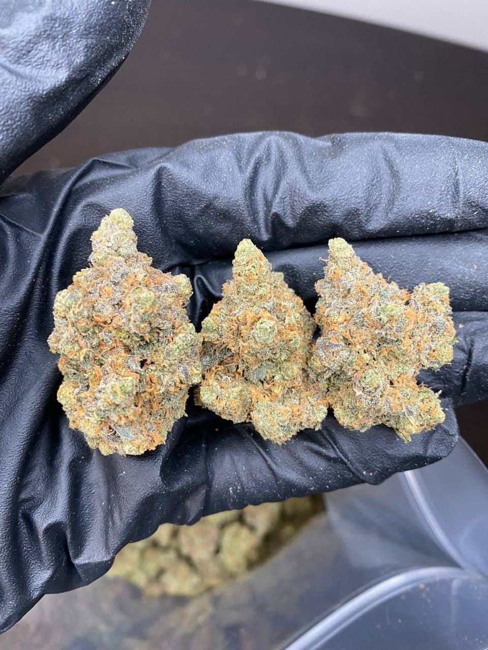 Buy Weed Online in glasgow - Image 2