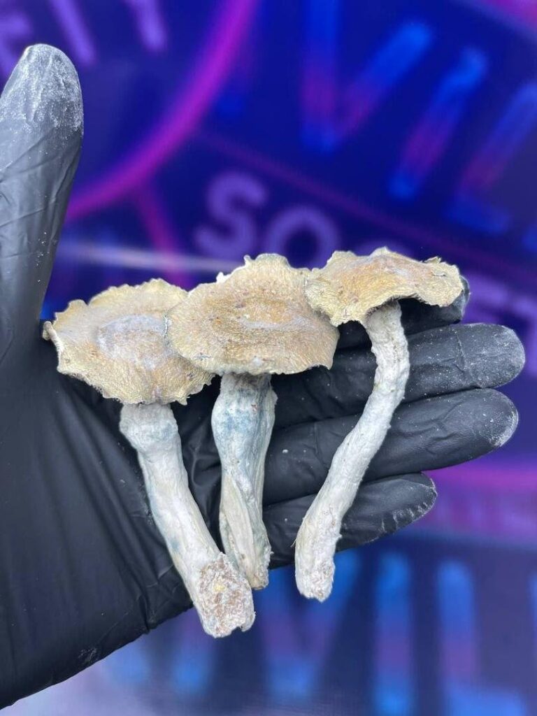 Meth