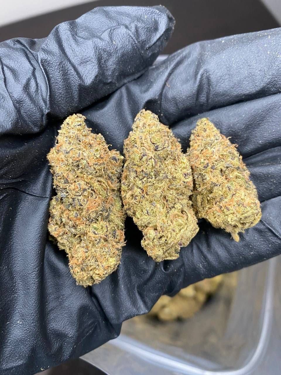 Buy Weed Online in glasgow - Image 4