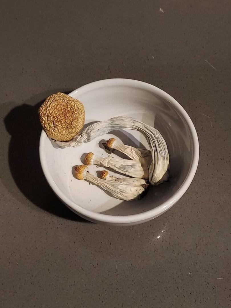 Buy Mushrooms glasgow Online - Image 5